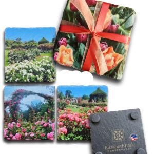 Re-Order 4-Pack Botanical Coasters