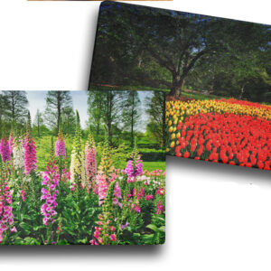 Re-Order Botanical Picture/Trivet/Charcuterie Board