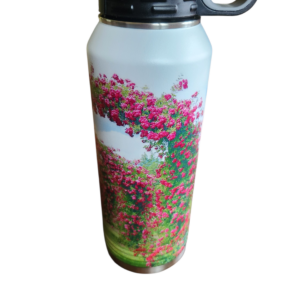 Elizabeth Park Insulated Water Bottle