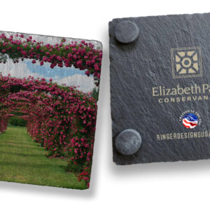 Elizabeth Park Rose Garden #1